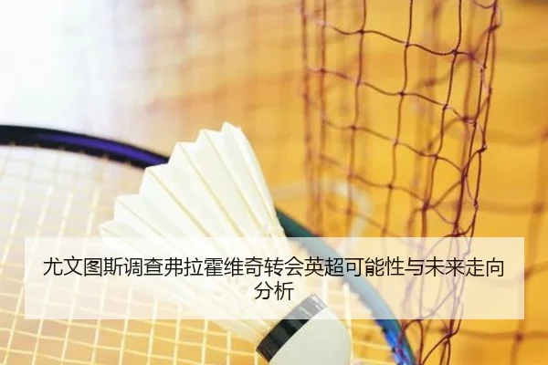 尤文图斯调查弗拉霍维奇转会英超可能性与未来走向分析