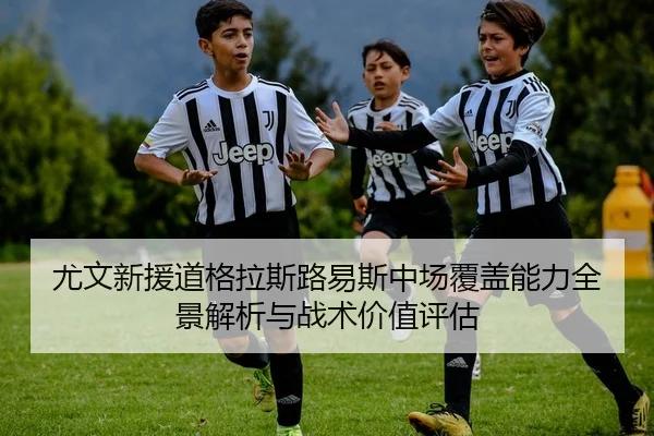 尤文新援道格拉斯路易斯中场覆盖能力全景解析与战术价值评估